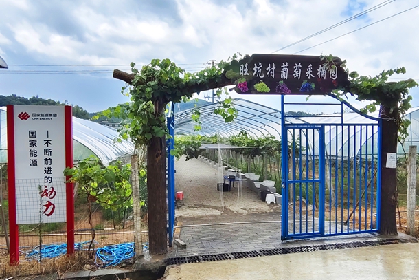 1圖為葡萄采摘園入口_副本